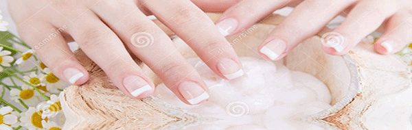Palm Nails 130 Palm Coast Pkwy NE Palm Coast Florida 