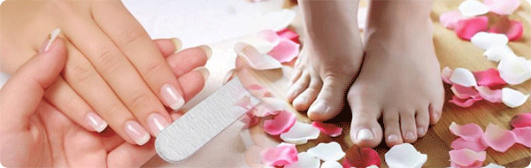 Nail Spa 1266 Palm Coast Pkwy SW Palm Coast Florida 
